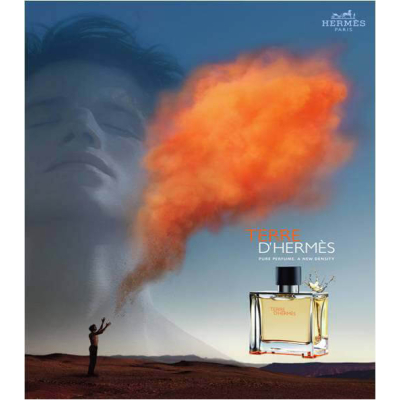 Hermes Terre D'Hermes Set (EDT 50ml + SG 40ml) pentru Bărbați Seturi